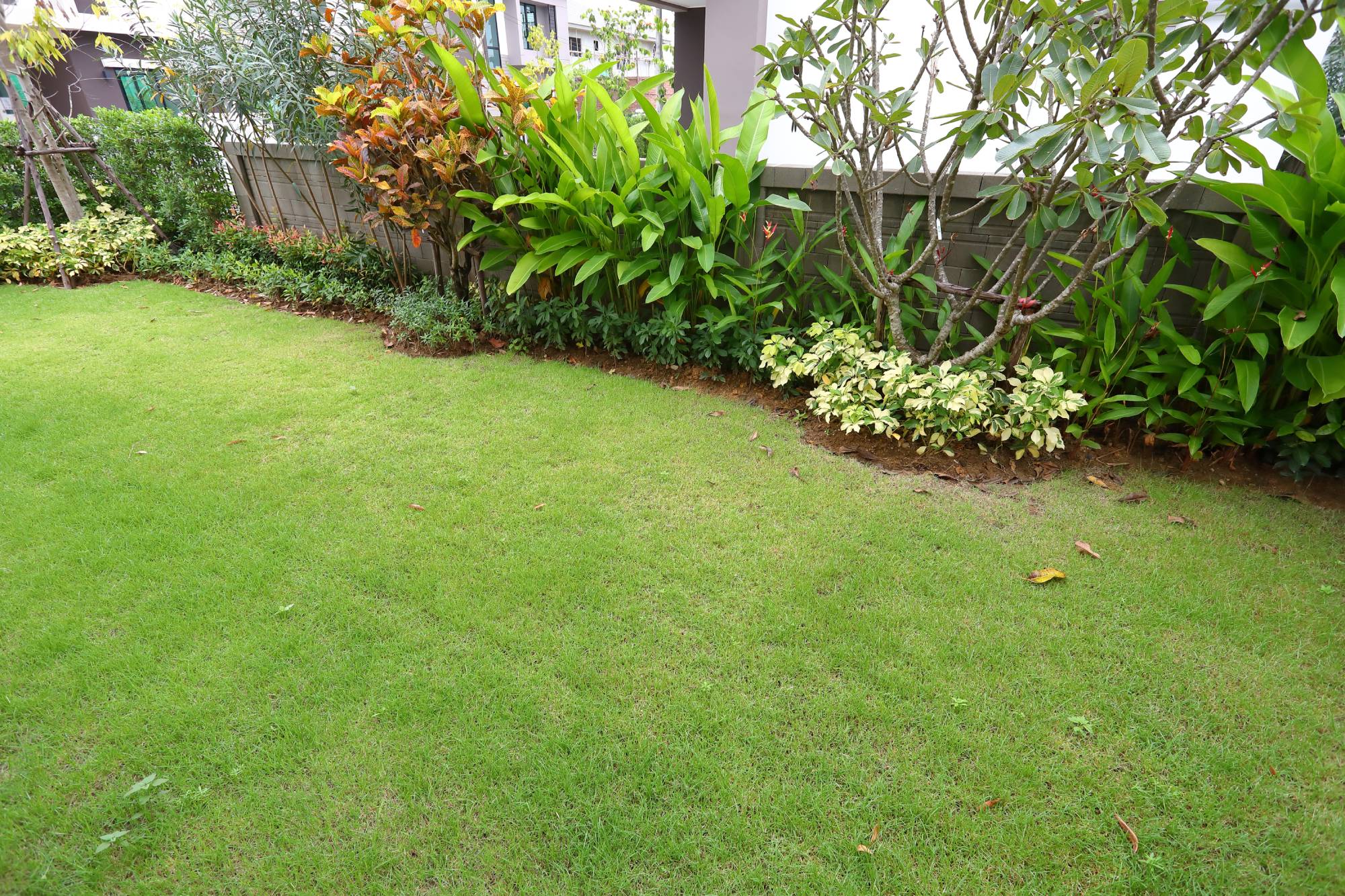 PETIT_JARDIN | Coréhome Comment aménager un petit espace vert ? Saint-Denis